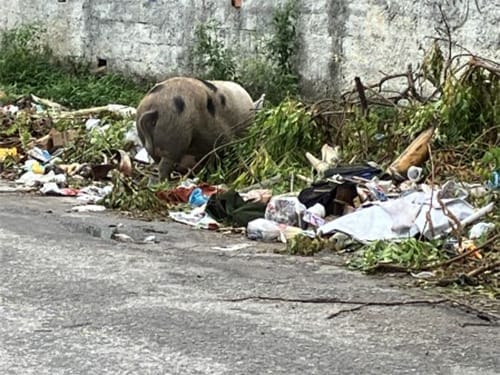 Garbage on the roadside in the slums